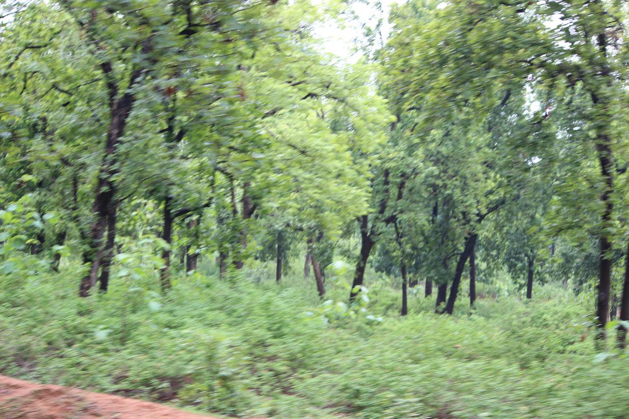 The Residency Bed & Breakfast Amarkantak Exterior photo